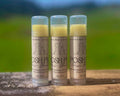 Posh Pup Paw Balm